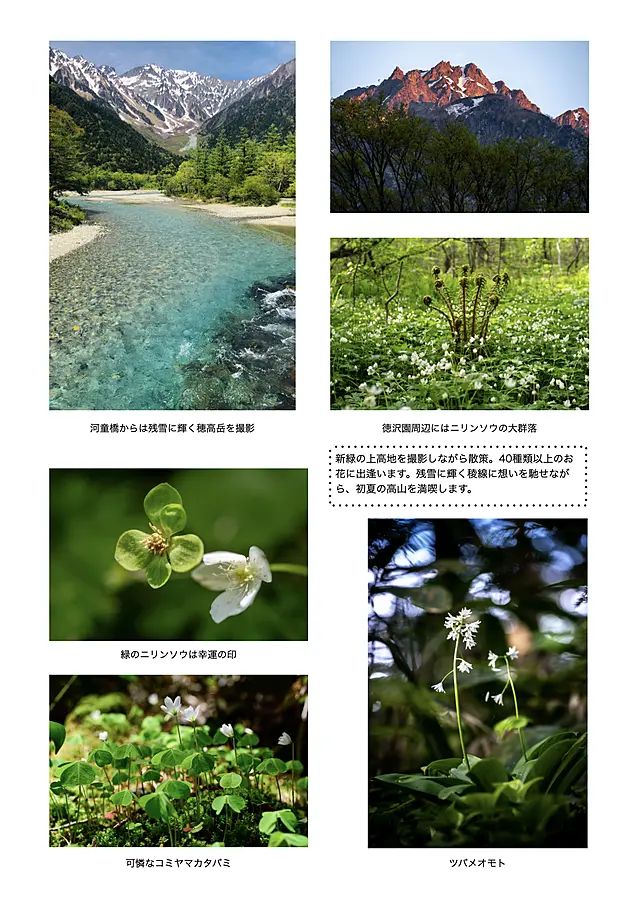 イメージ画像