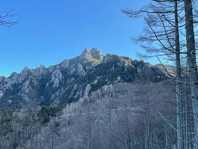 イメージ画像
