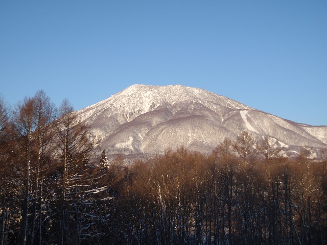 イメージ画像