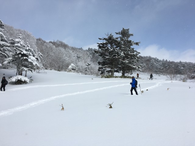 イメージ画像