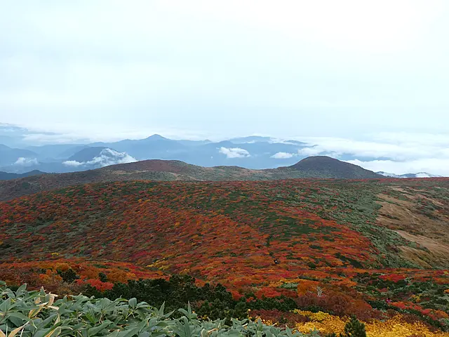 イメージ画像