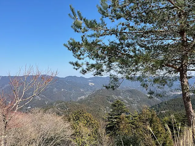 イメージ画像