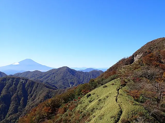 イメージ画像