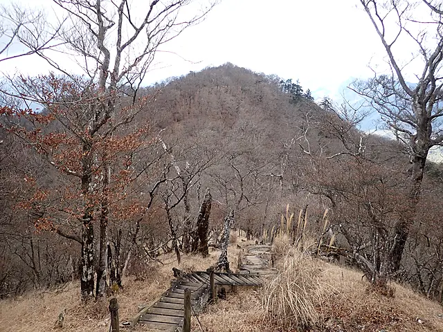 イメージ画像