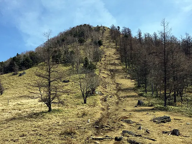 イメージ画像