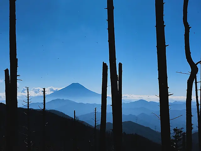 イメージ画像
