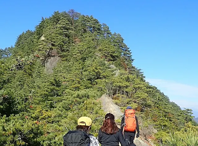 イメージ画像