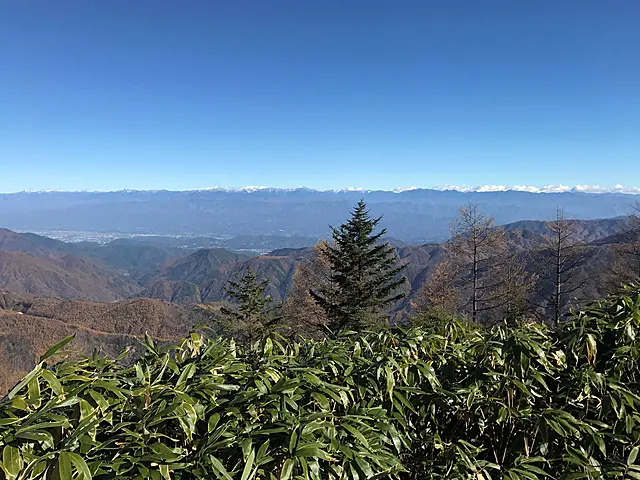 イメージ画像
