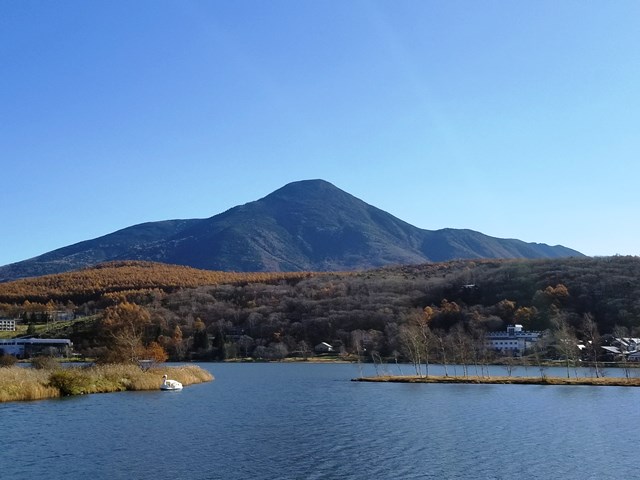イメージ画像