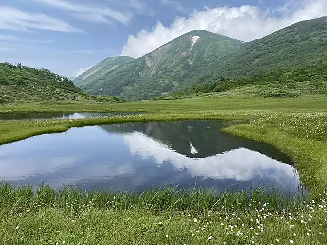イメージ画像