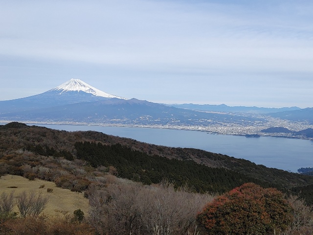 イメージ画像