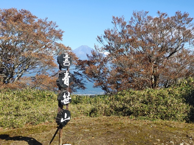 イメージ画像