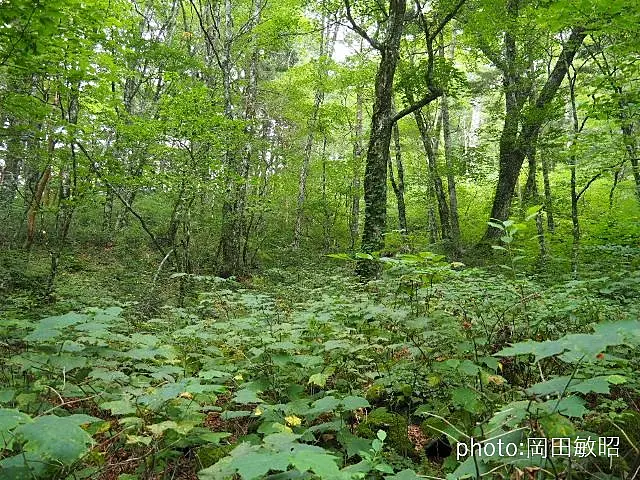 イメージ画像