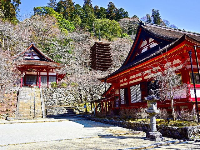 イメージ画像