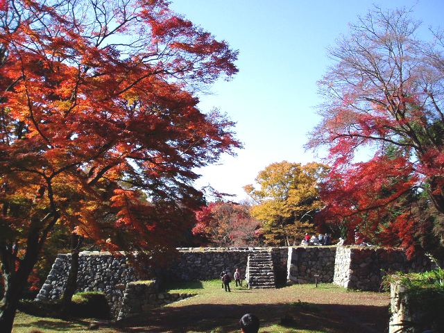 イメージ画像