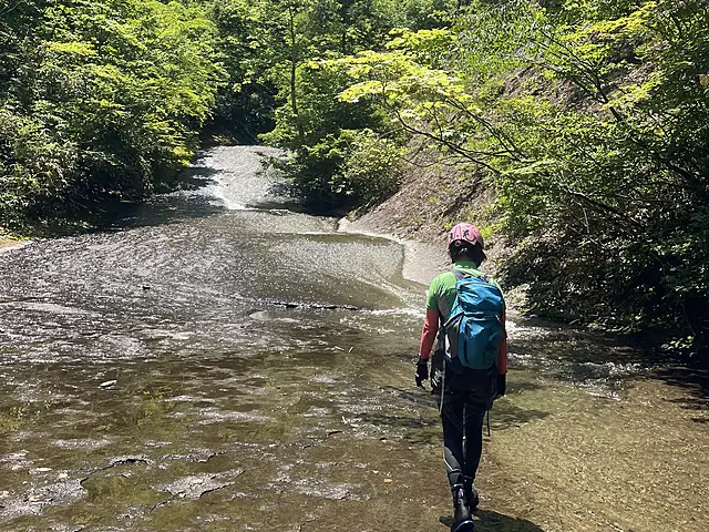 イメージ画像