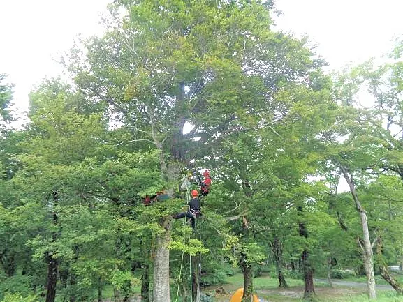 イメージ画像