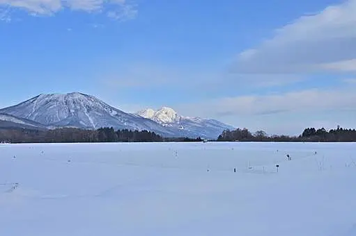 イメージ画像