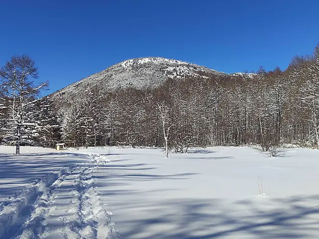 イメージ画像