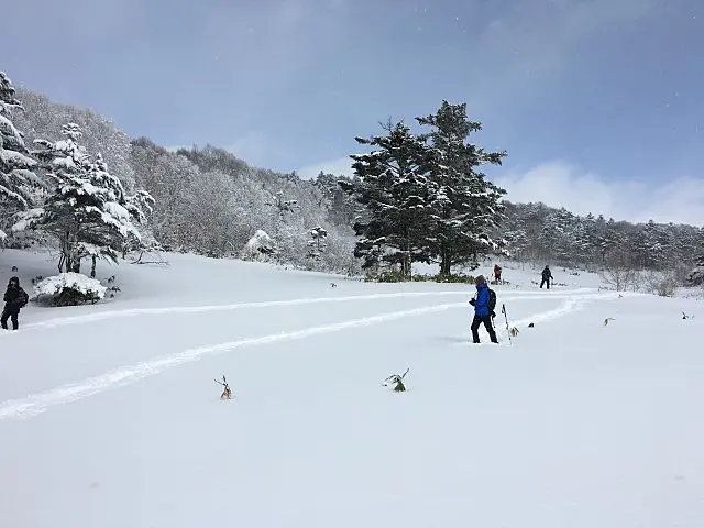 イメージ画像