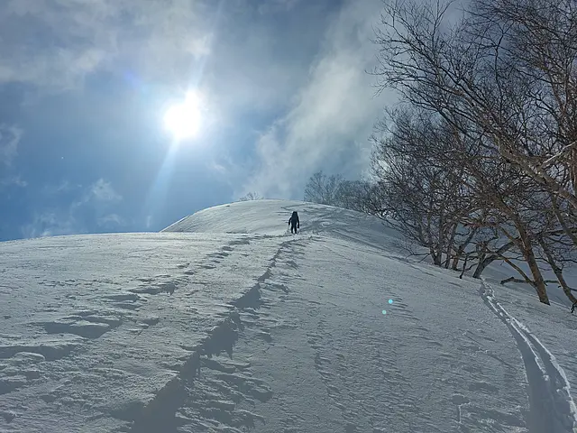 イメージ画像