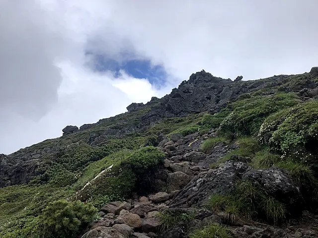 イメージ画像