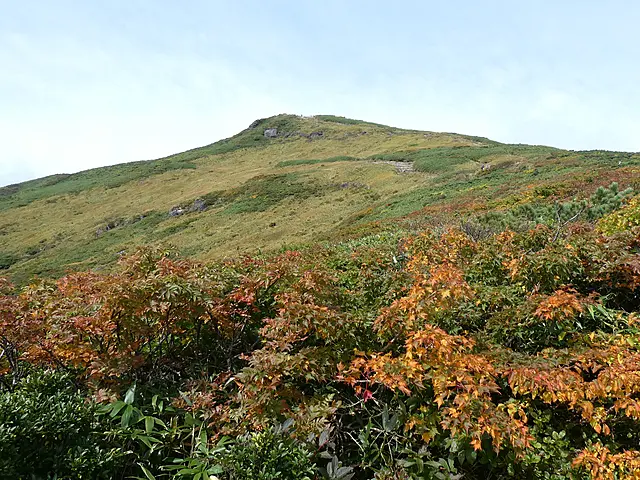 イメージ画像