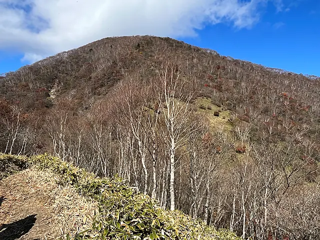 イメージ画像
