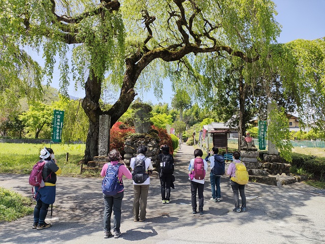 イメージ画像