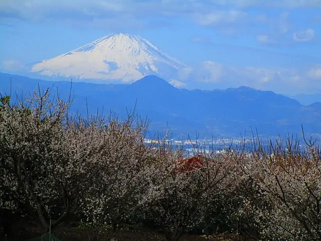 イメージ画像