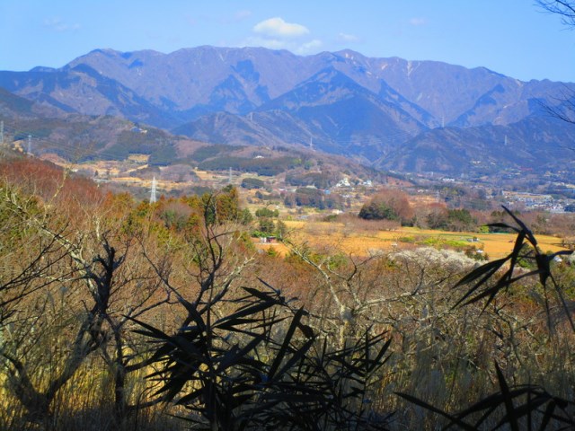 イメージ画像