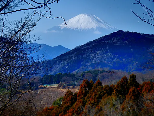 イメージ画像