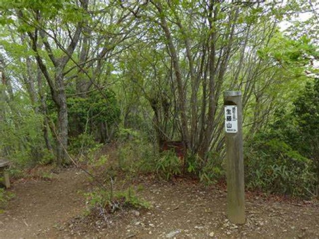 イメージ画像