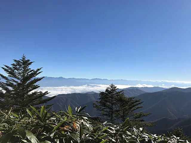 イメージ画像