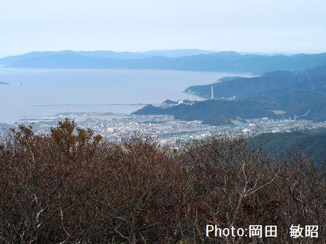 イメージ画像