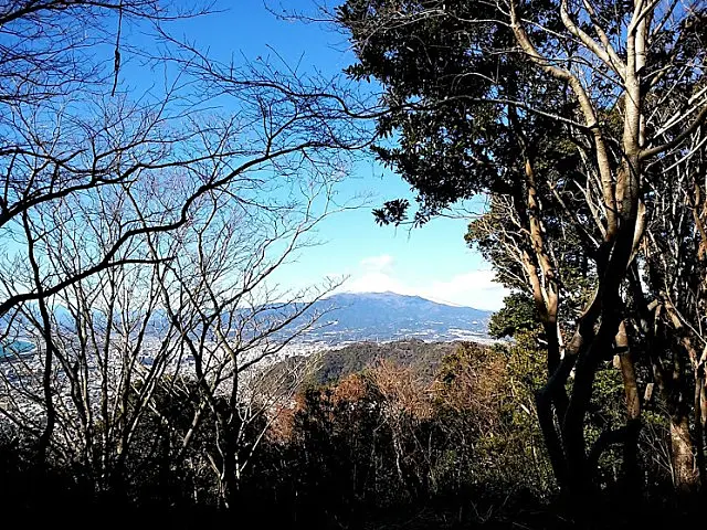 イメージ画像