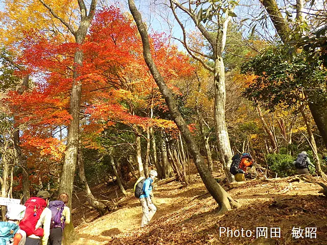イメージ画像