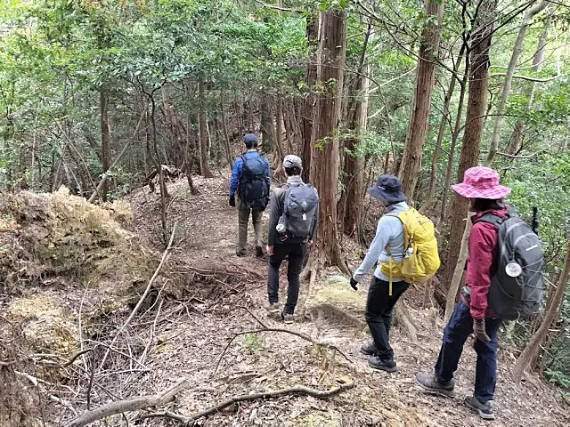 イメージ画像