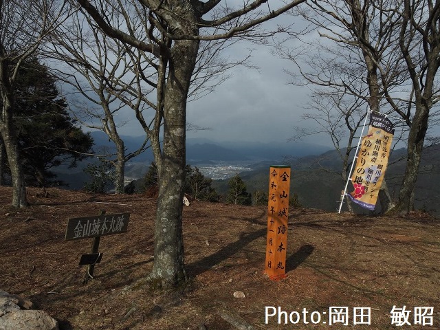 イメージ画像