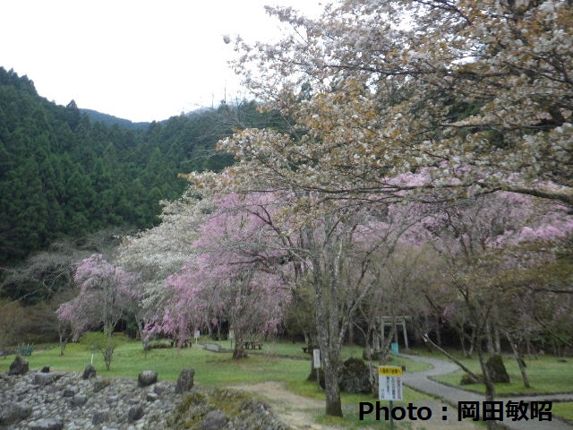 イメージ画像