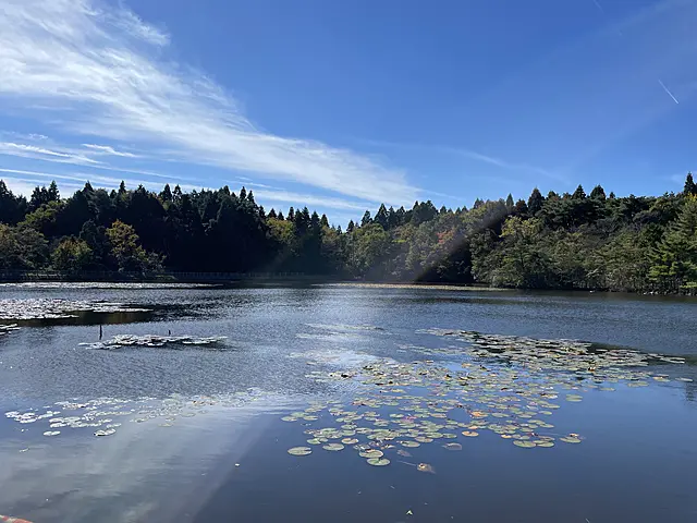 イメージ画像
