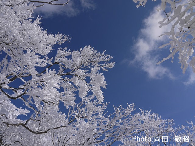 イメージ画像