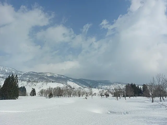 イメージ画像