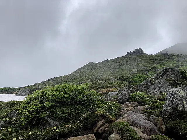 イメージ画像