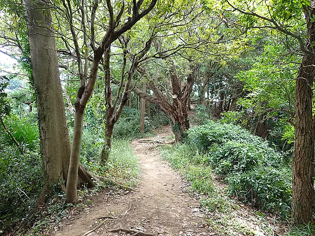 イメージ画像