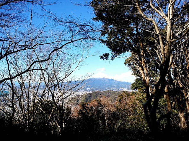 イメージ画像