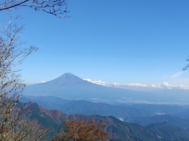 イメージ画像