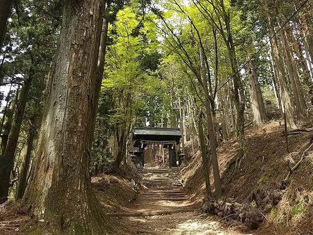 イメージ画像