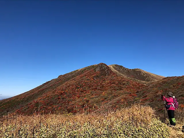 イメージ画像