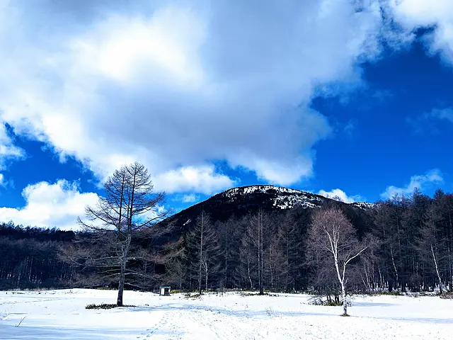 イメージ画像